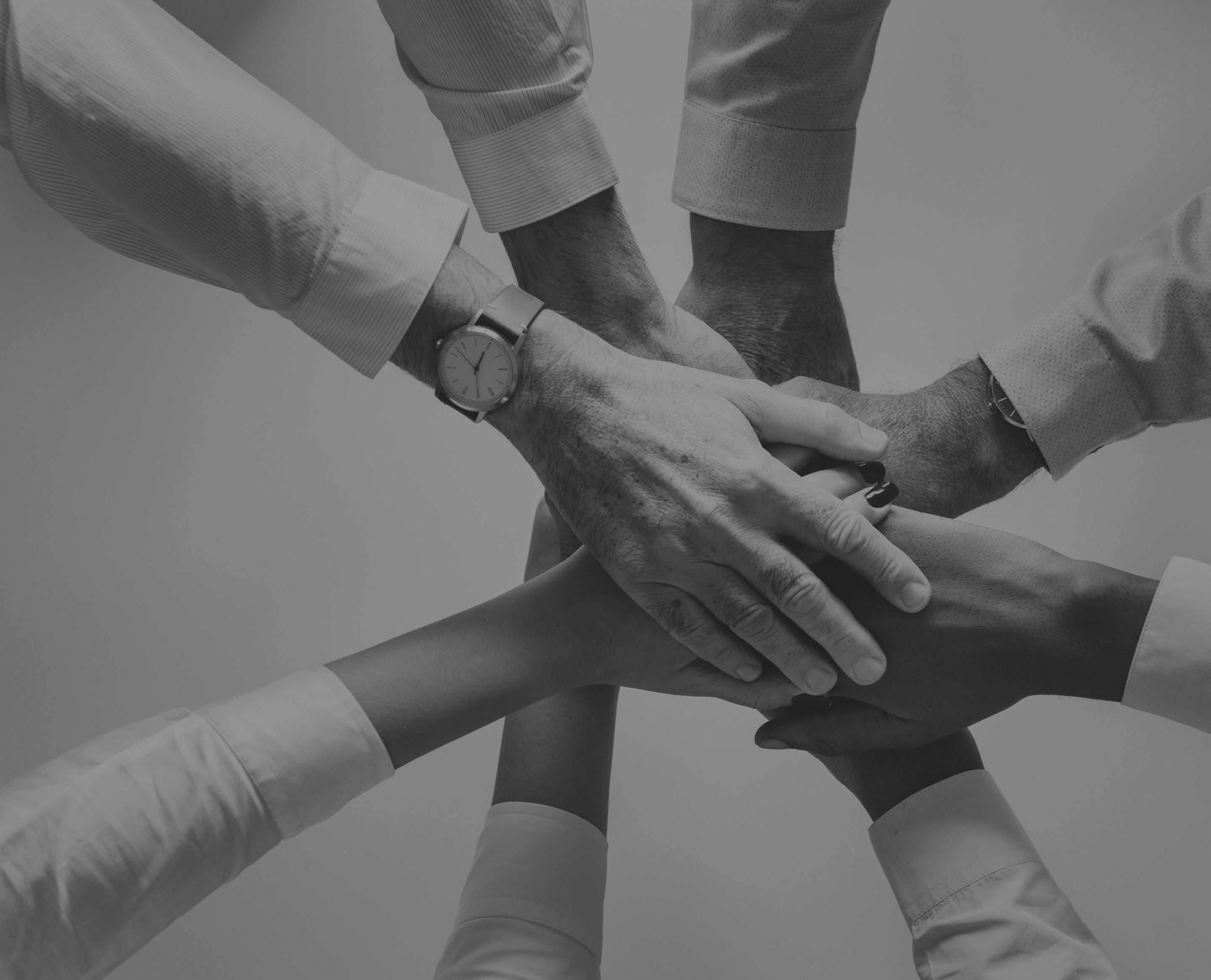 Aydins Realty Team Leadership & Collaboration