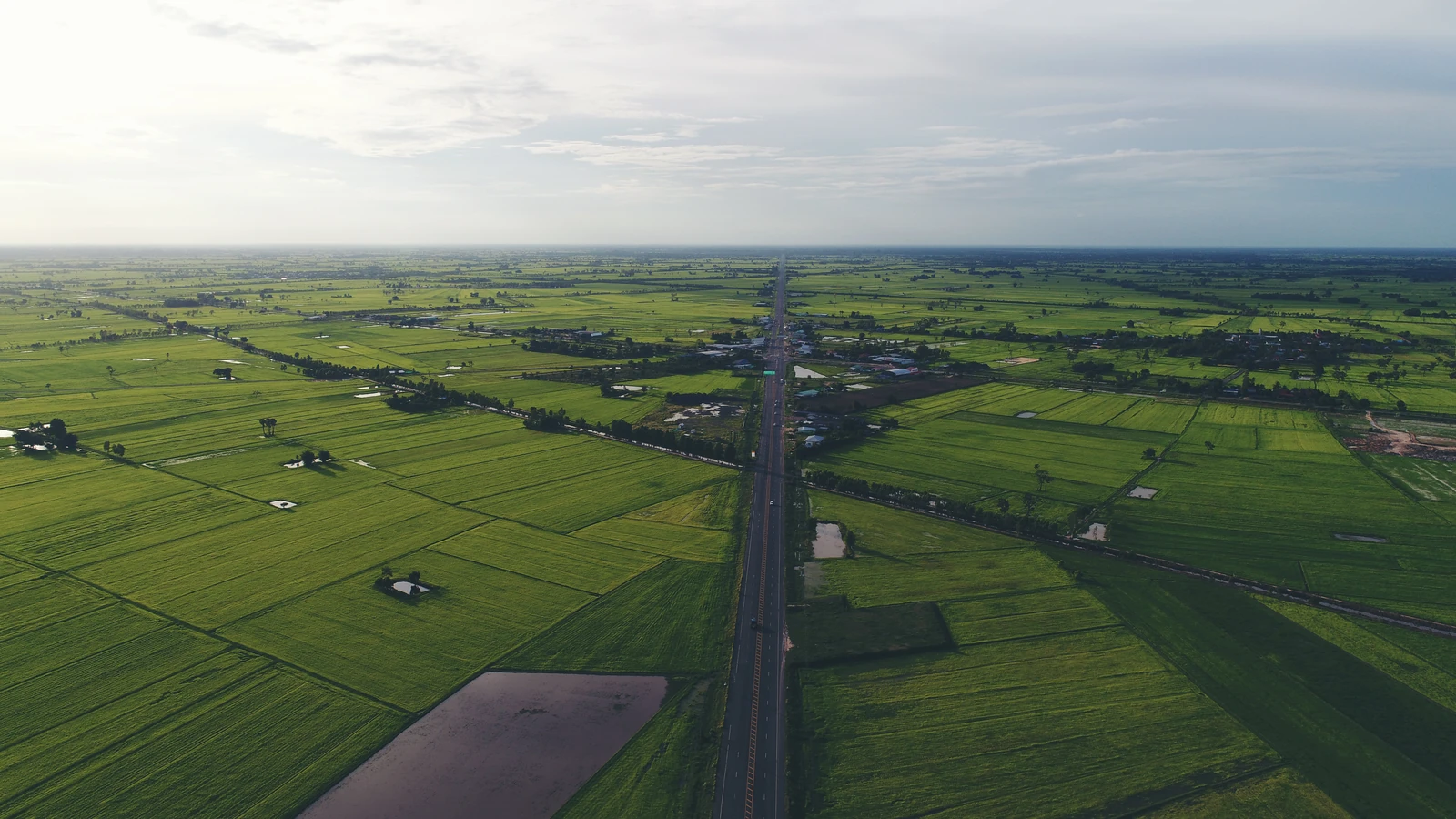 Aerial view of green land parcels beside a road